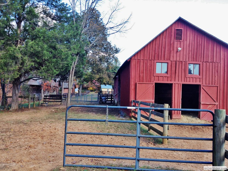 renovated horse barn
